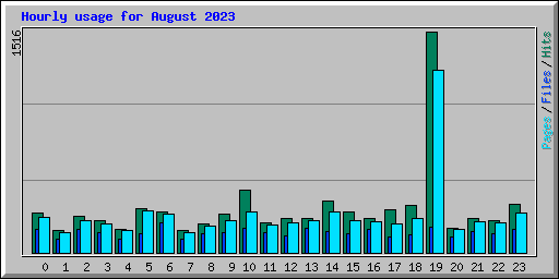 Hourly usage for August 2023