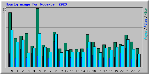 Hourly usage for November 2023