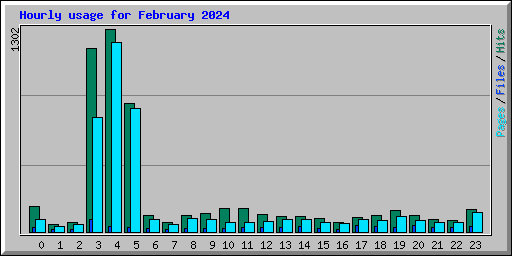 Hourly usage for February 2024