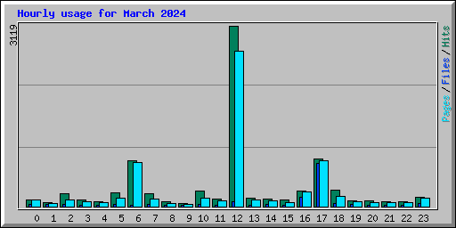 Hourly usage for March 2024